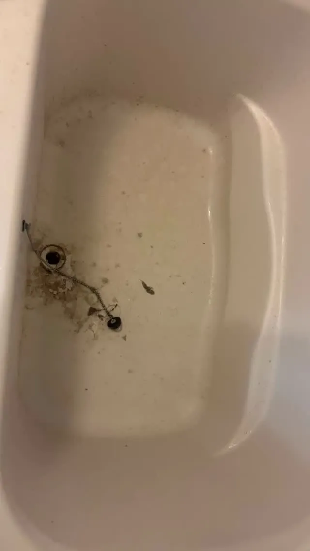 【浴室クリーニング】